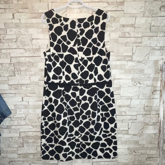 Loft Printed Dress - Picture 5 of 11